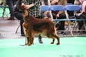 Crufts2011 620